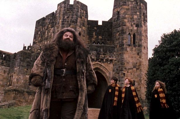Robbie Coltrane in the Harry Potter